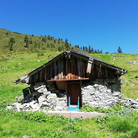 Appartment Moser Alpbach Eksteriør billede