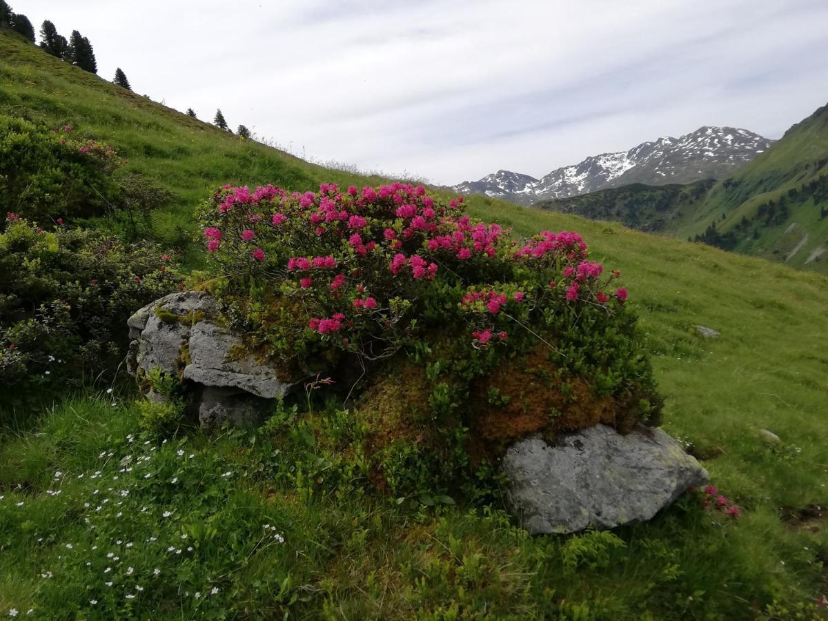 Appartment Moser Alpbach Eksteriør billede