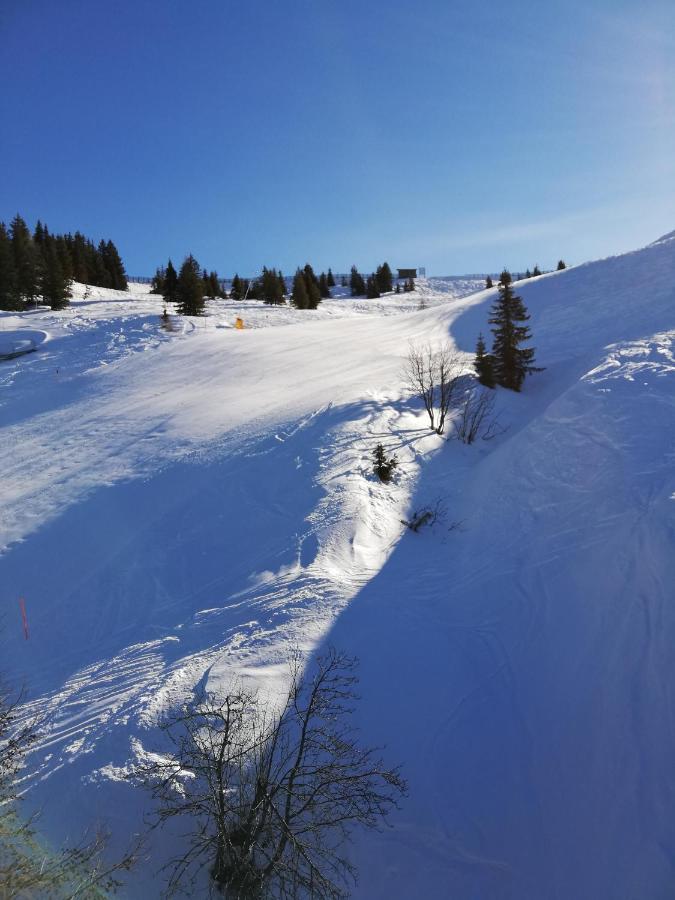 Appartment Moser Alpbach Eksteriør billede