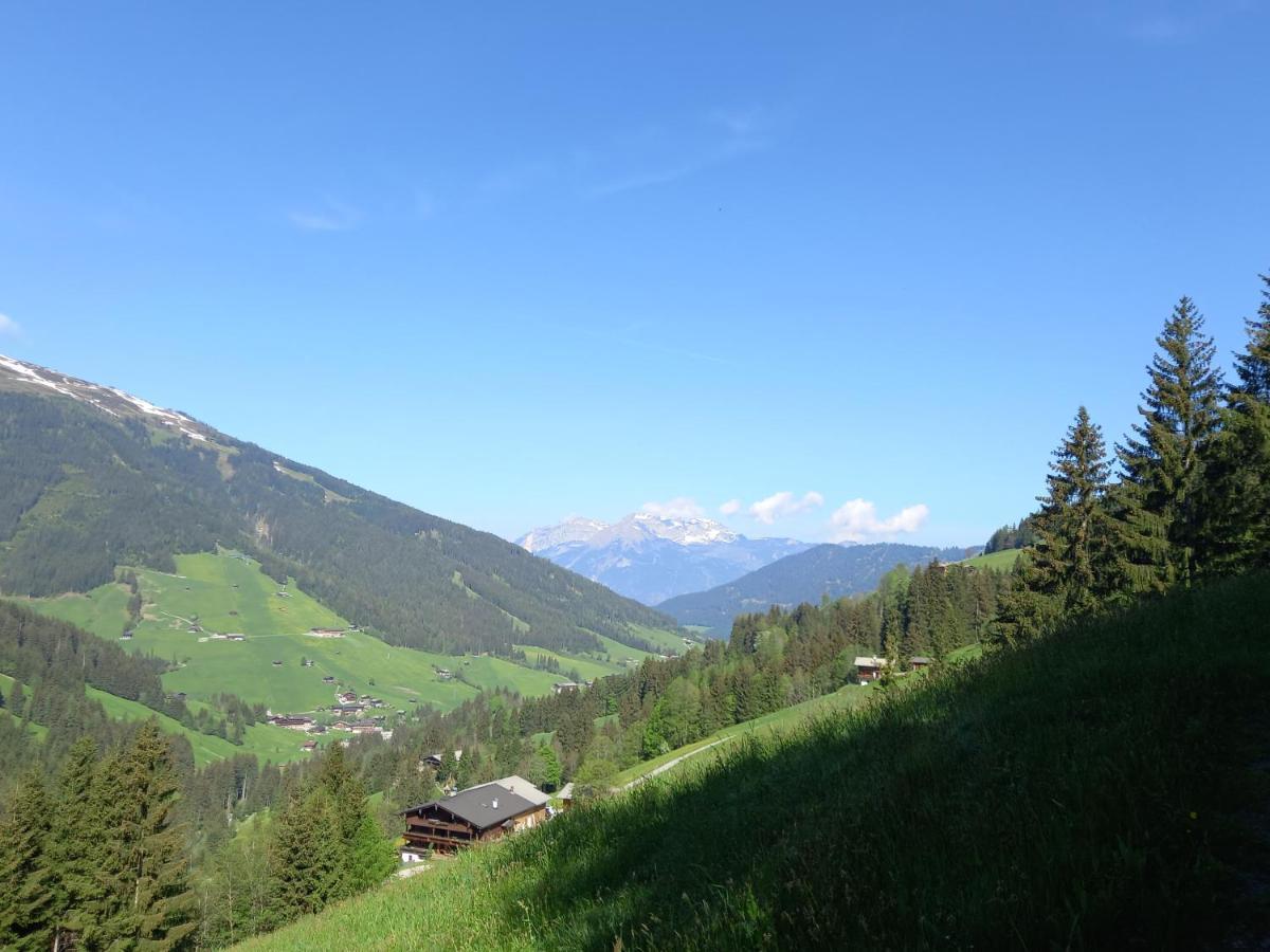 Appartment Moser Alpbach Eksteriør billede